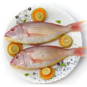 Rani fish (Finned Bulleye) राणी मासा 