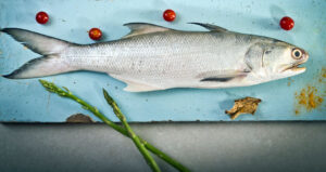 Rawas (Indian Salmon) रावस