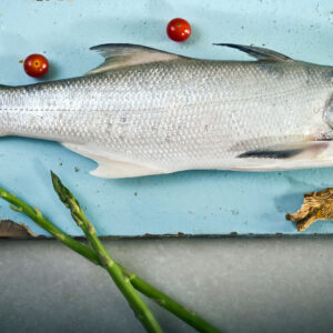Rawas (Indian Salmon) रावस