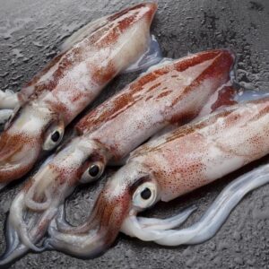 Mhakul (Squid) माकूळ